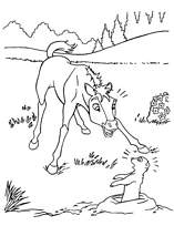 coloriage spirit et la marmotte